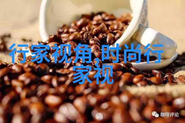 时尚博主青春旅社(时尚博主青春旅社视频)