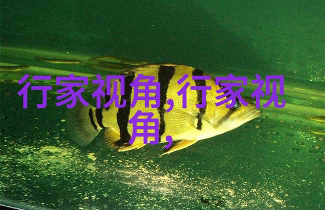 年前流行什么颜色的鞋(今年流行什么颜色的鞋子)